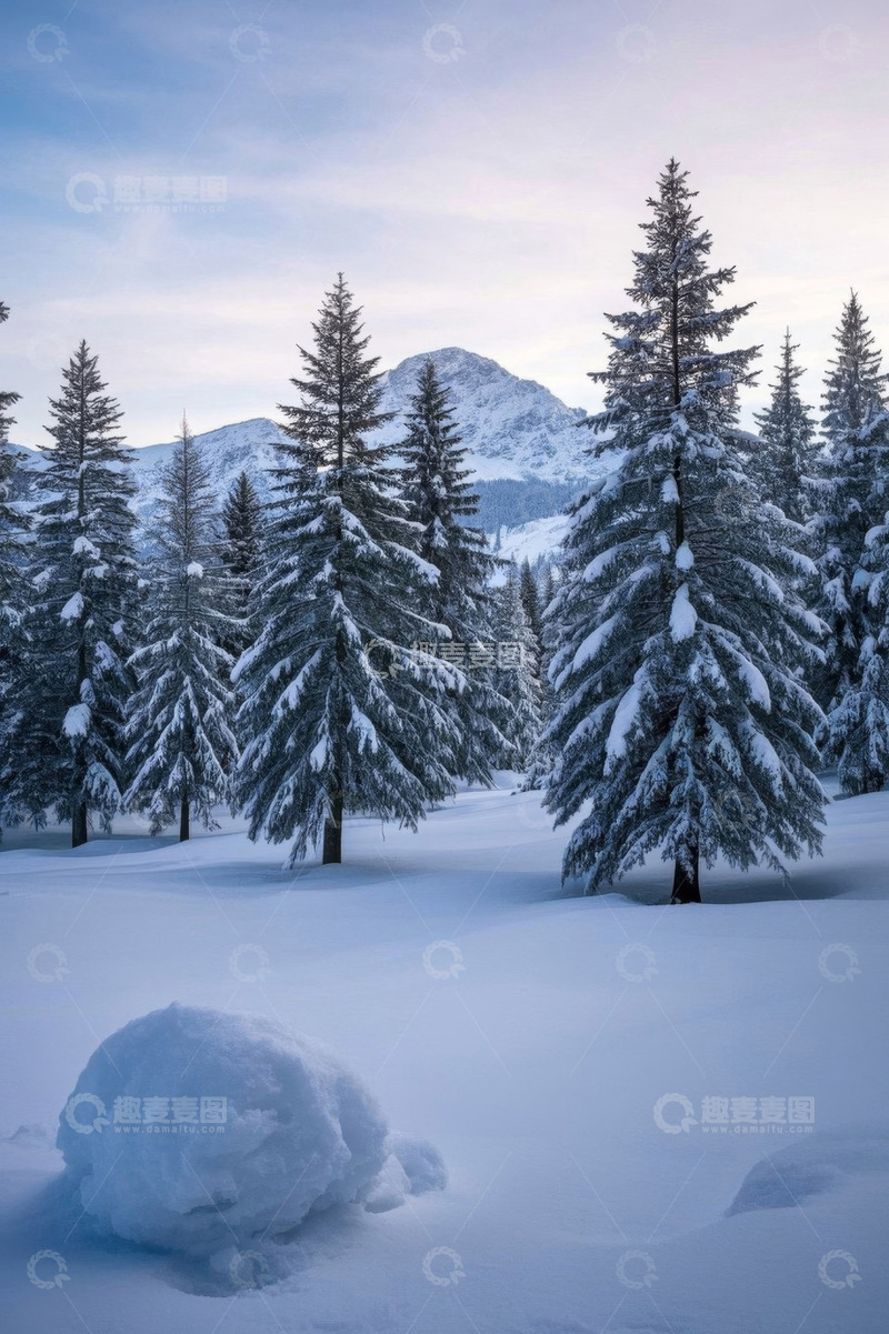 高清大图下载【趣麦麦图】雪后森林与远山雪景