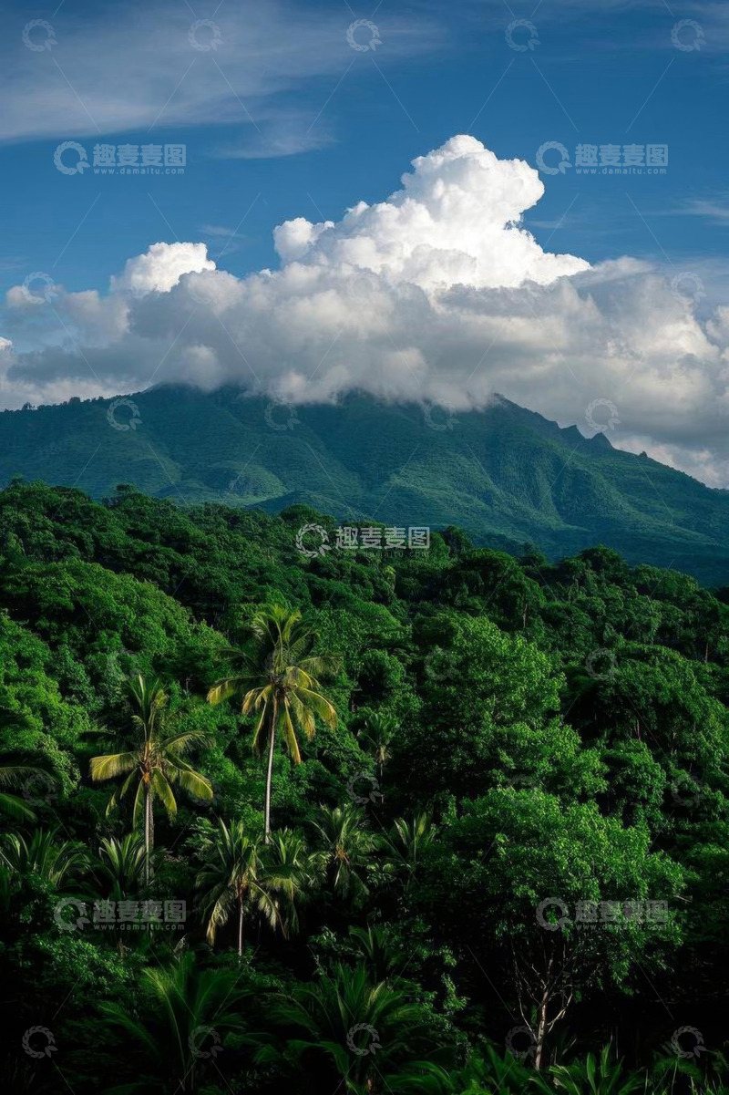 高清大图下载【趣麦麦图】山林间的热带绿色景观