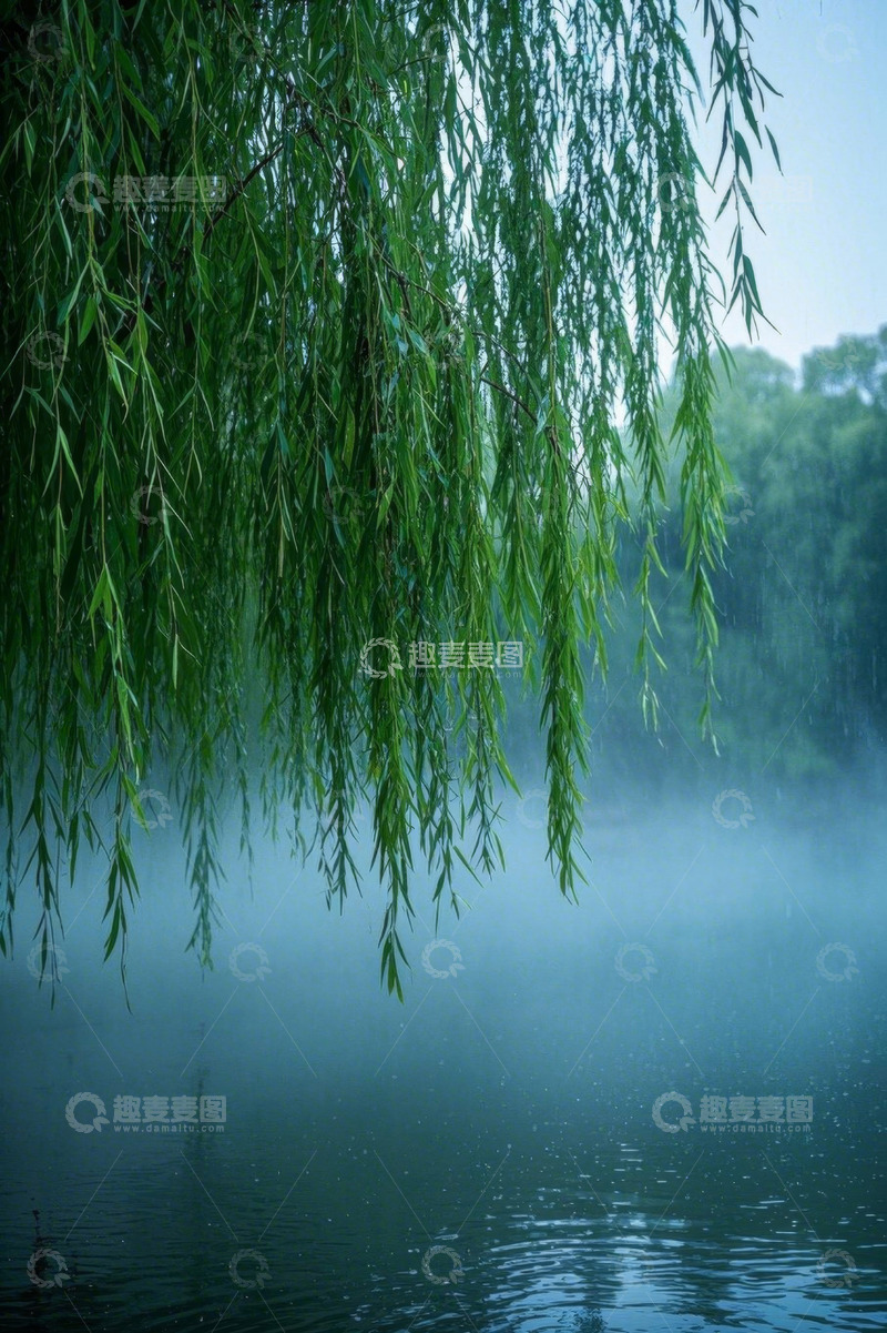 高清大图下载【趣麦麦图】湖畔垂柳自然风光景象