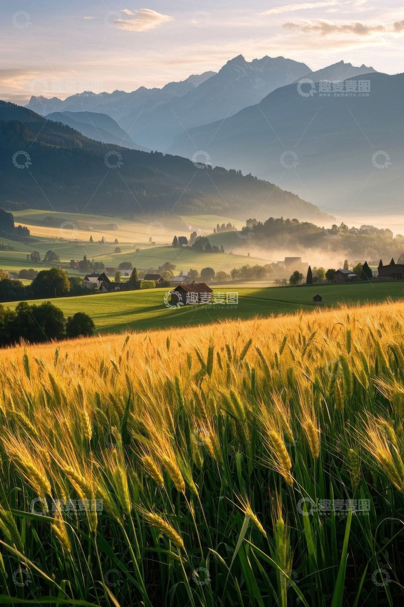 高清大图下载【趣麦麦图】田园麦田与远山风景