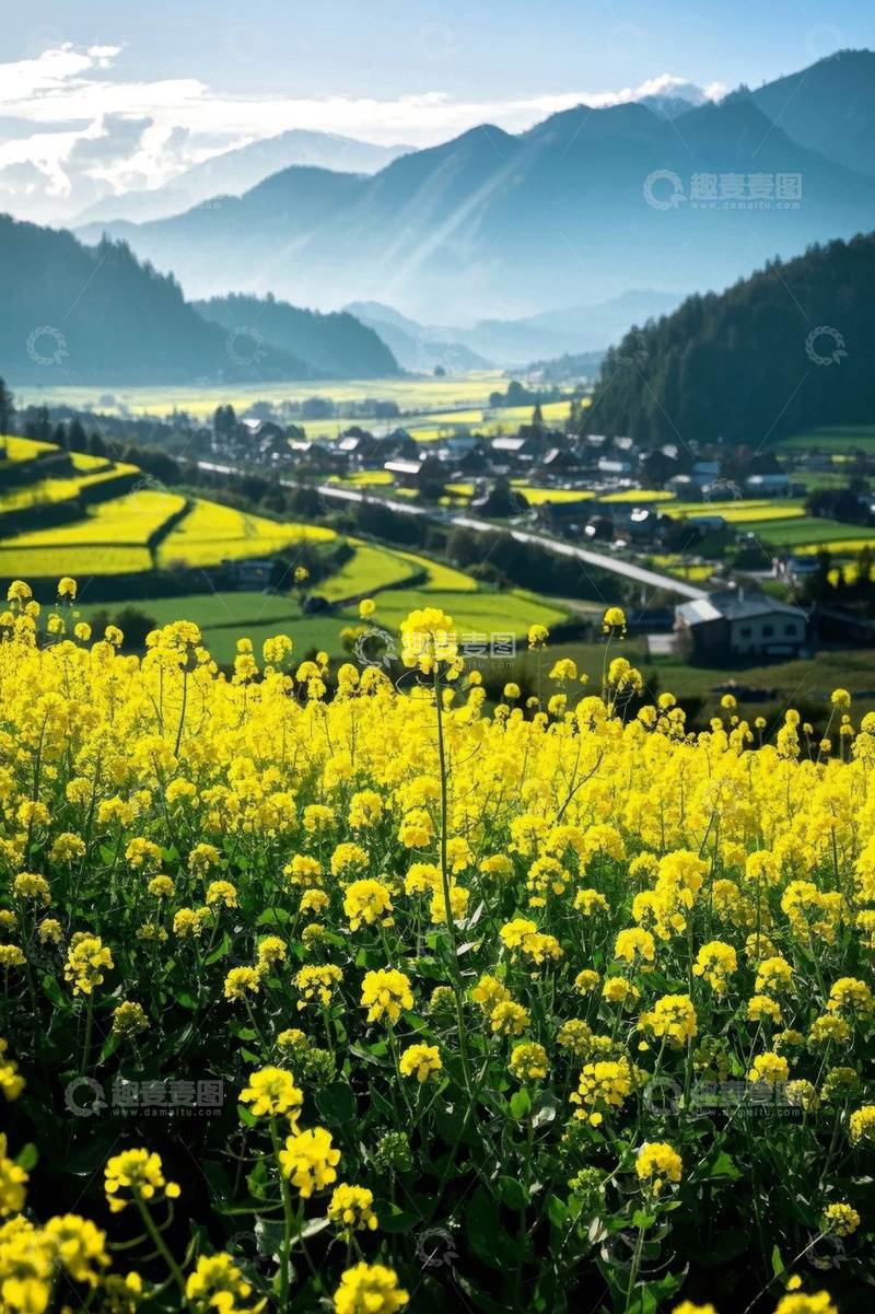 高清大图下载【趣麦麦图】山间油菜花田与村落风景