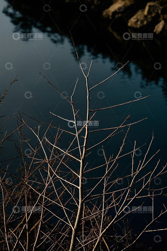 未提供图片无法生成标题