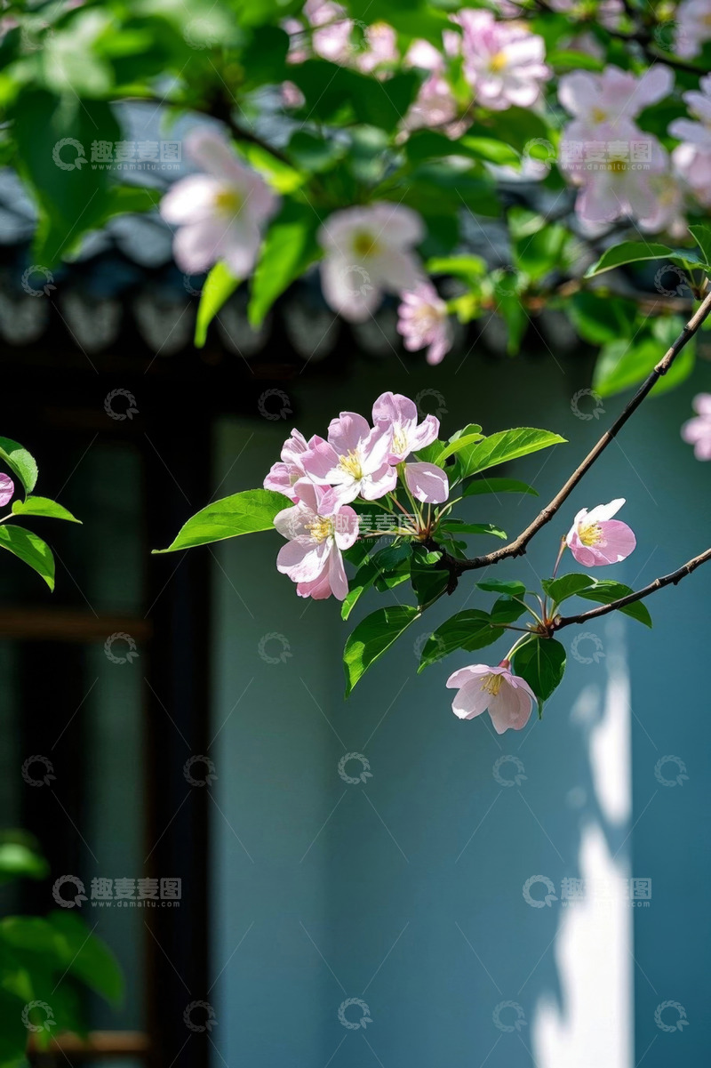 高清大图下载【趣麦麦图】中式建筑前绽放的粉色花朵