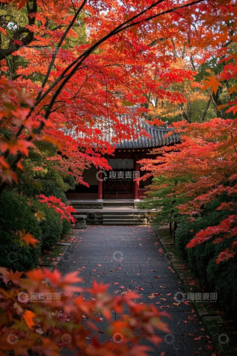 高清大图下载【趣麦麦图】秋日红枫环绕的中式庭院