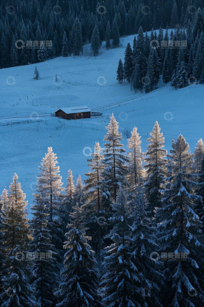高清大图下载【趣麦麦图】雪覆盖的森林与山间小屋