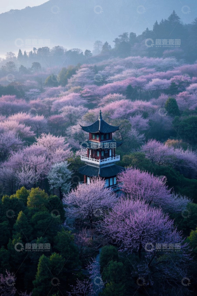 高清大图下载【趣麦麦图】樱花林中的中式塔楼景观
