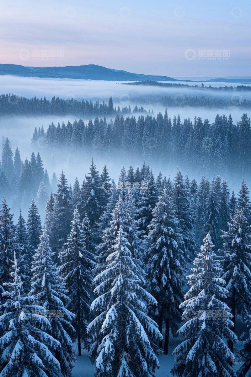 高清大图下载【趣麦麦图】雪覆森林远景自然风光