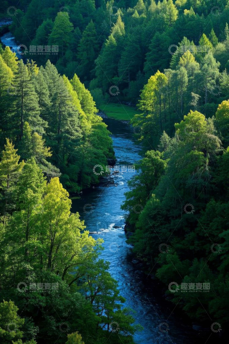 高清大图下载【趣麦麦图】森林河流自然景观俯瞰图