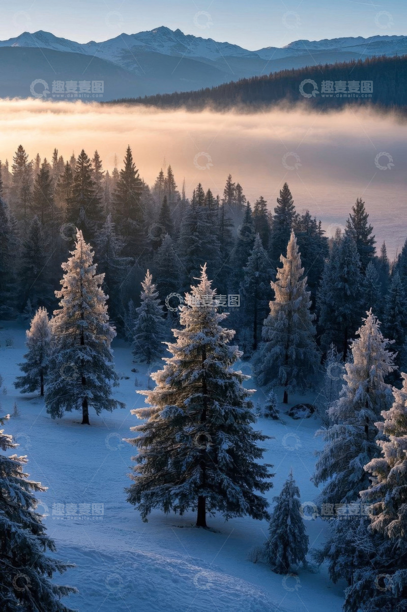 高清大图下载【趣麦麦图】冬日雪覆森林与远山景观