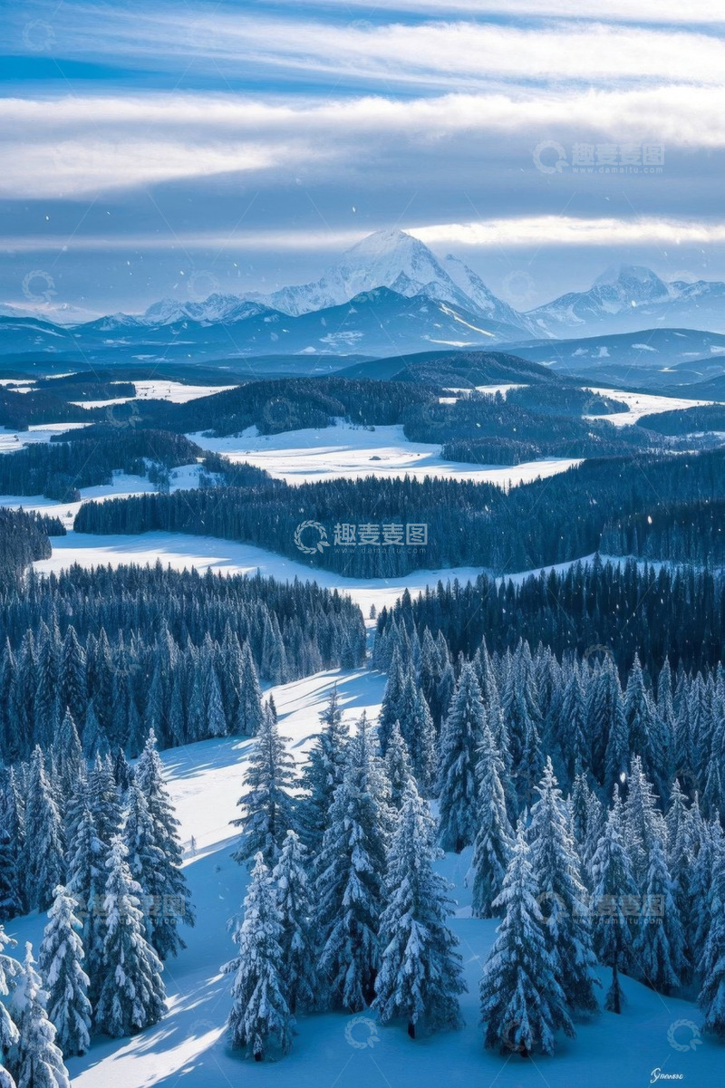 高清大图下载【趣麦麦图】雪山下的雪林全景