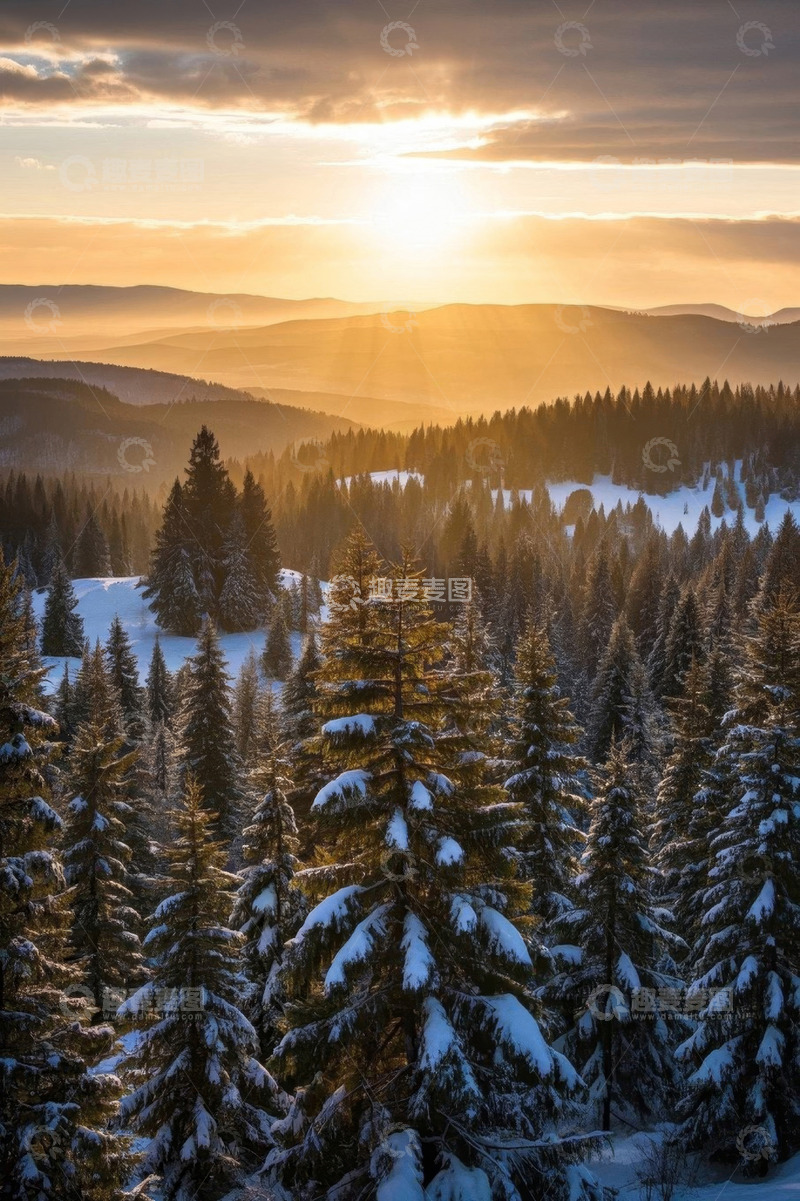 高清大图下载【趣麦麦图】雪覆森林日出景色