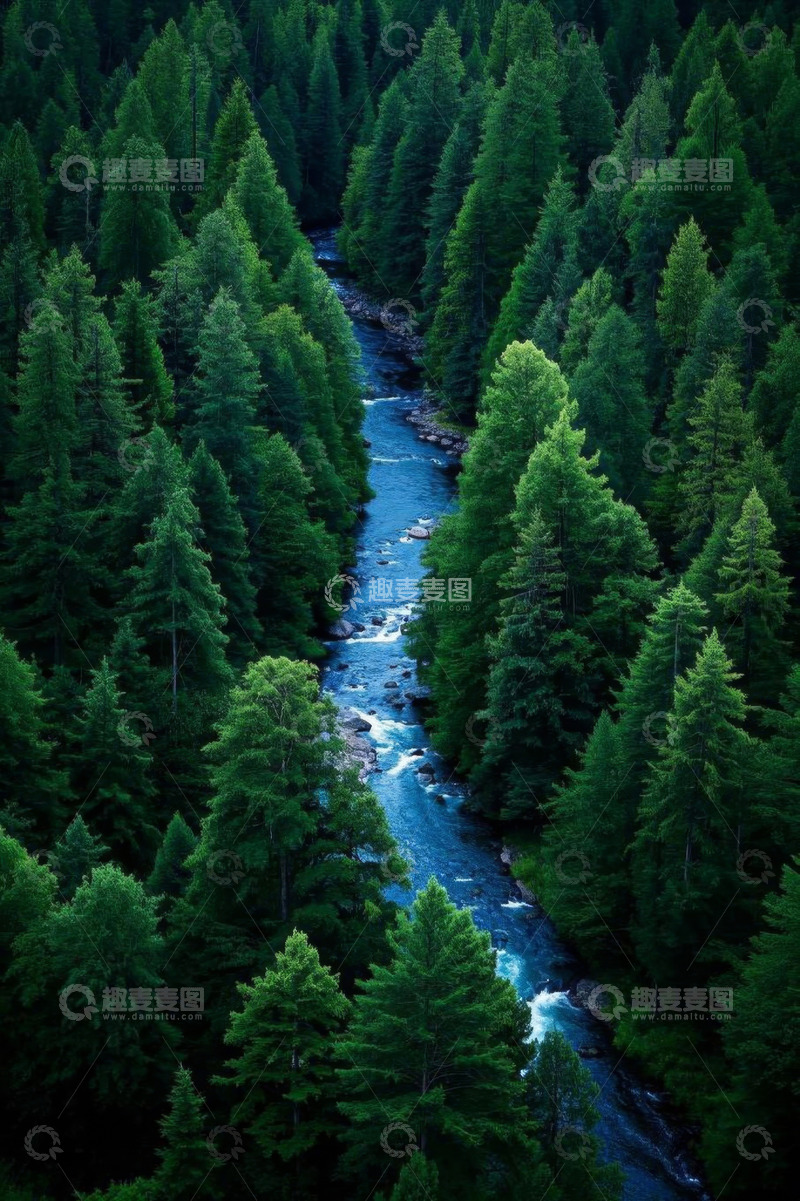 高清大图下载【趣麦麦图】森林中蜿蜒流淌的河流景象