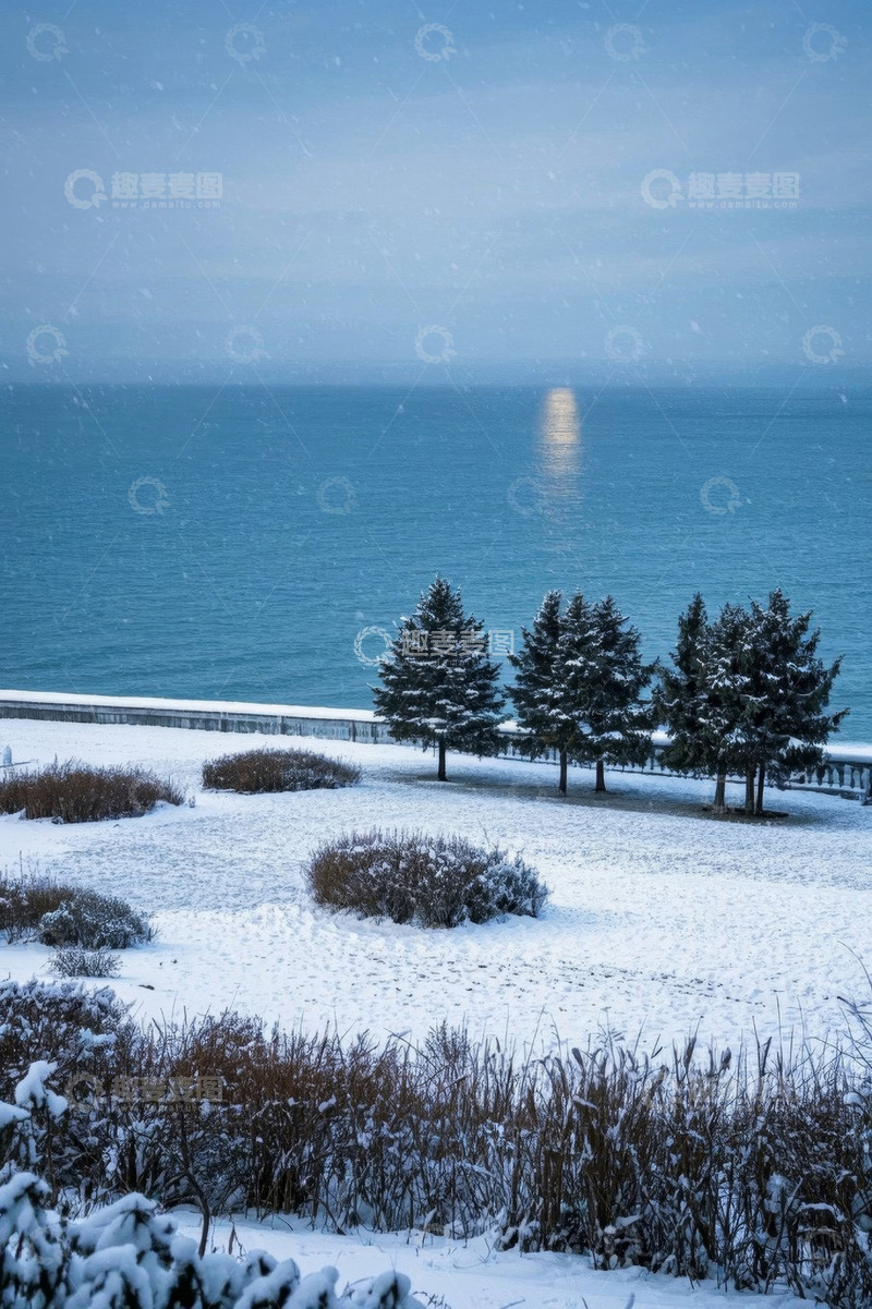 高清大图下载【趣麦麦图】雪后海边树木雪景
