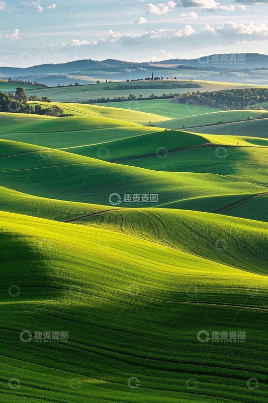 广袤起伏的绿色田园风光