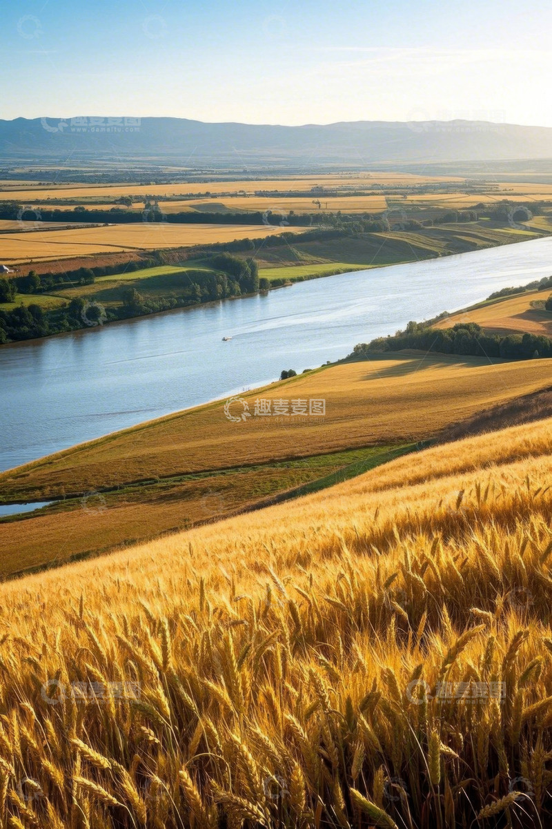 高清大图下载【趣麦麦图】河畔金黄麦田田园风光
