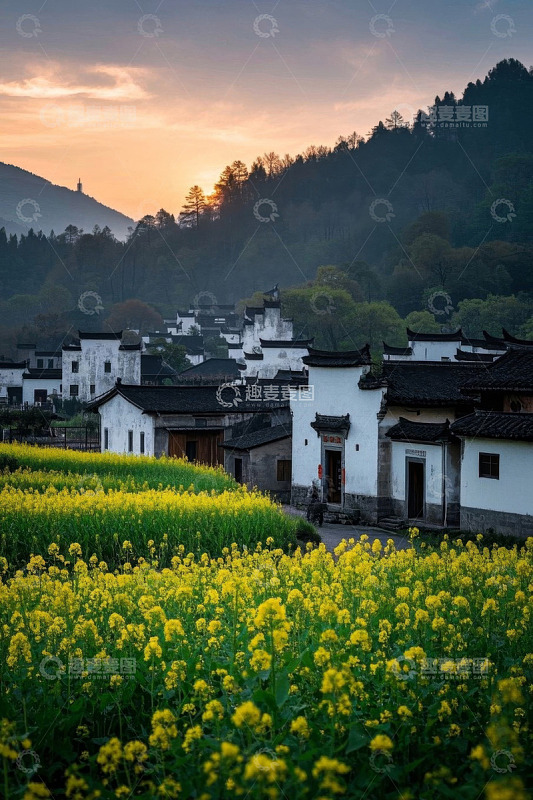乡村油菜花田旁的徽派民居