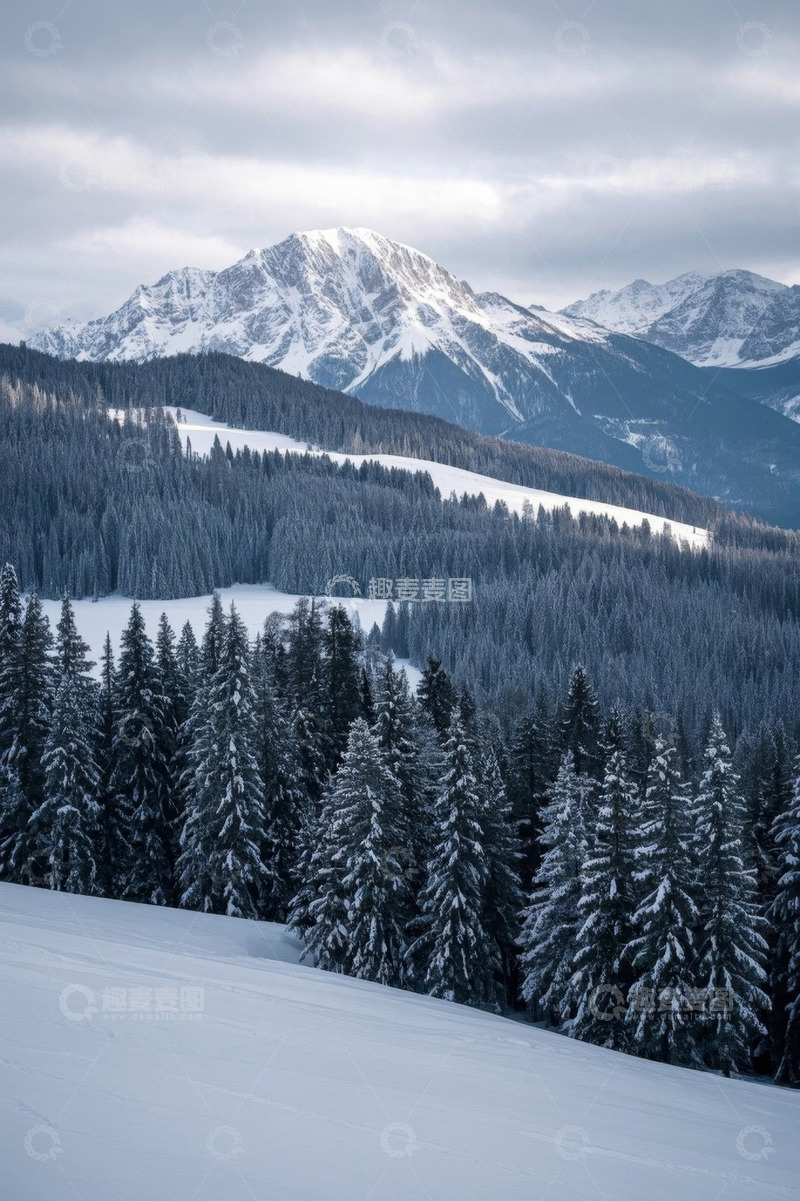 高清大图下载【趣麦麦图】雪山森林冬日自然景观