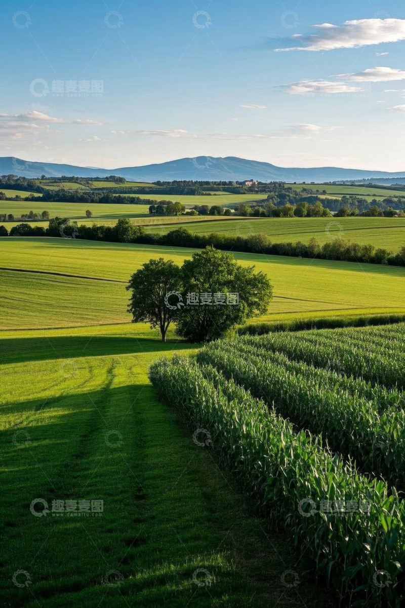 高清大图下载【趣麦麦图】田园风光绿色田野与远山