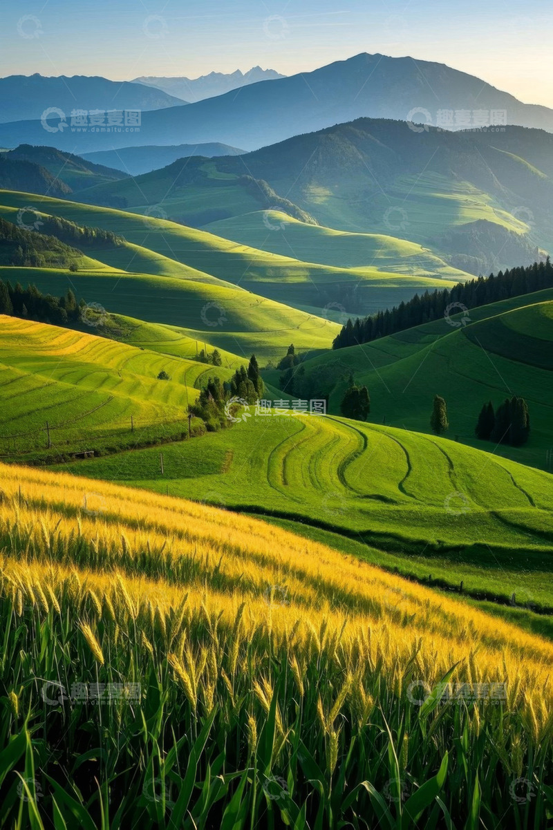高清大图下载【趣麦麦图】绿色山丘与麦田自然风光