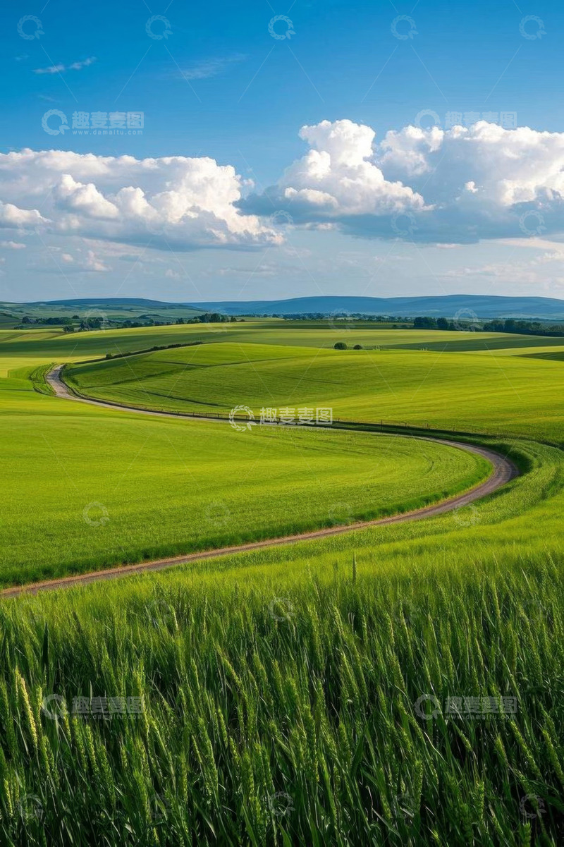 高清大图下载【趣麦麦图】绿色麦田中的蜿蜒小路