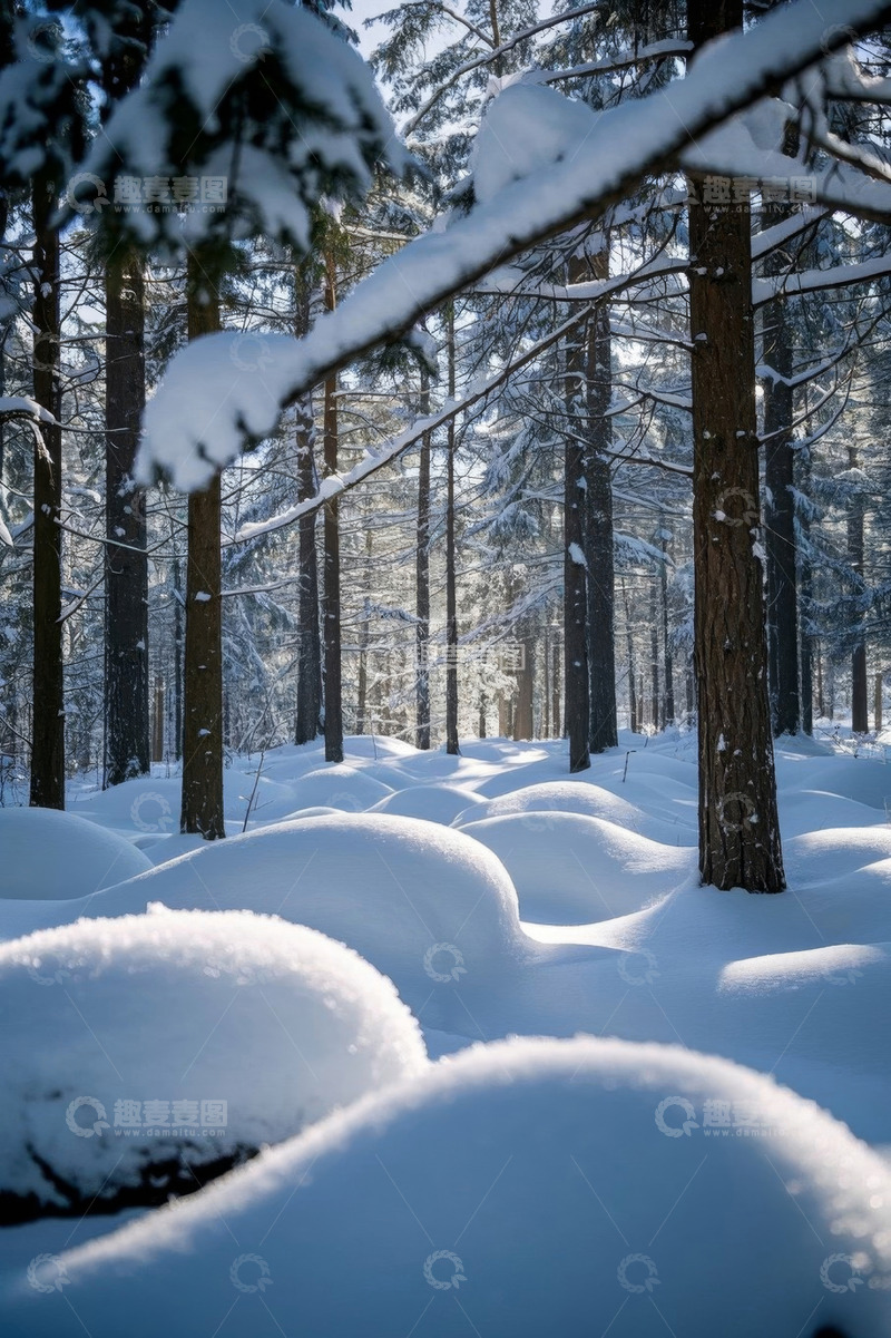 高清大图下载【趣麦麦图】冬日积雪覆盖的森林景观
