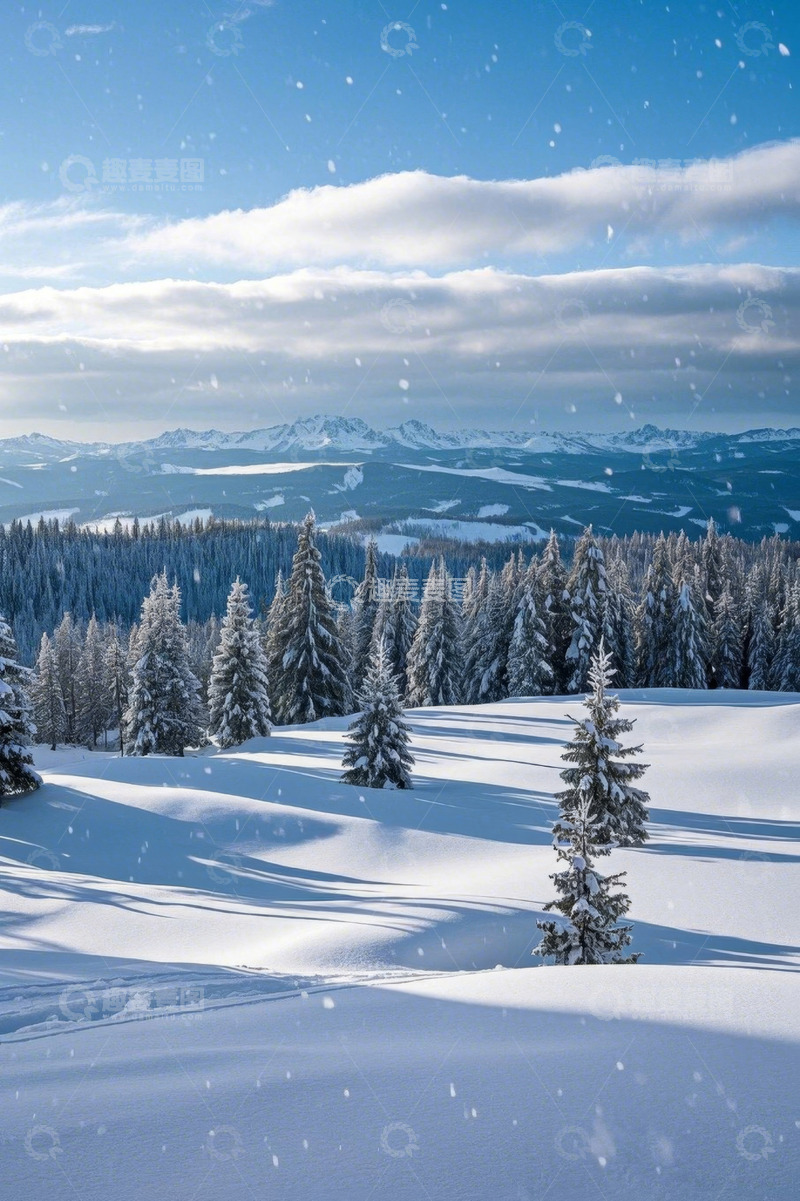 高清大图下载【趣麦麦图】雪山下的雪松林雪景
