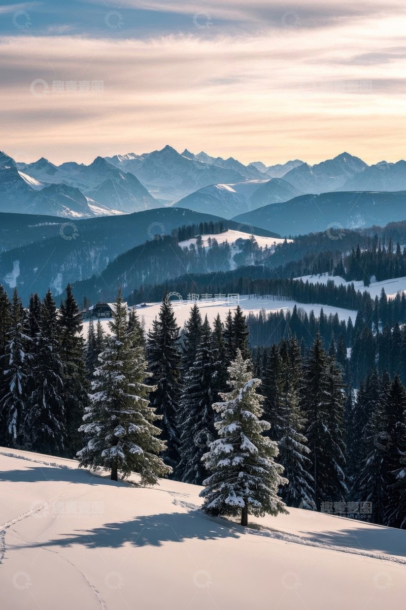 高清大图下载【趣麦麦图】雪山森林冬日全景