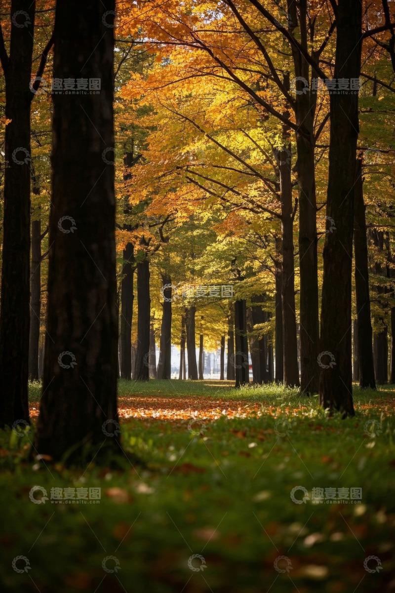 高清大图下载【趣麦麦图】秋季森林自然风光
