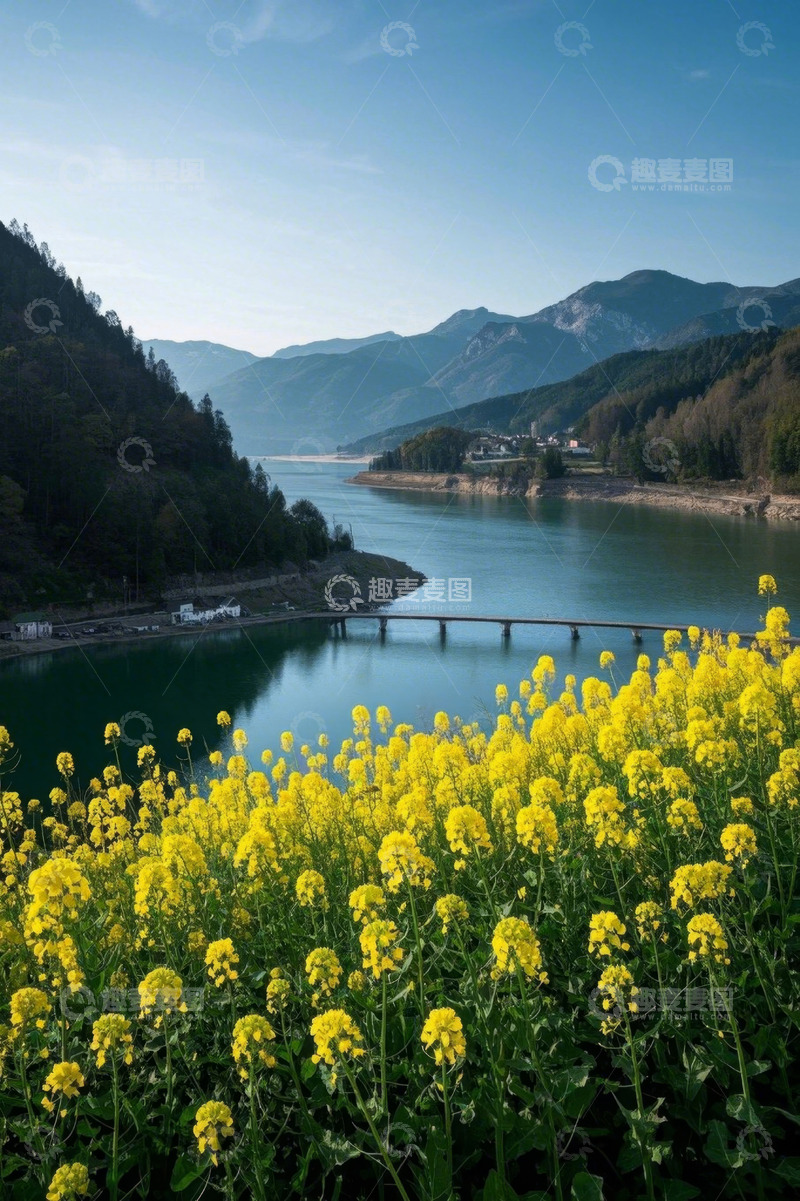 高清大图下载【趣麦麦图】湖畔油菜花与远山风景