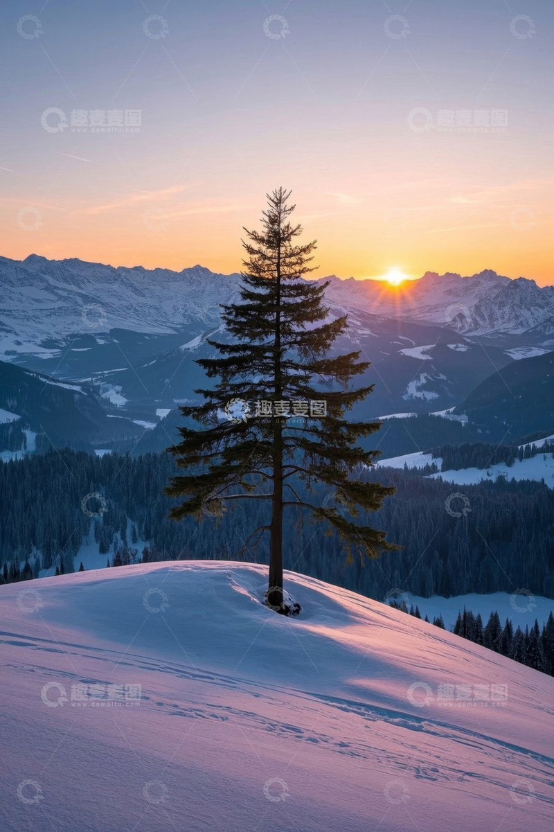高清大图下载【趣麦麦图】雪山之巅落日下的孤松