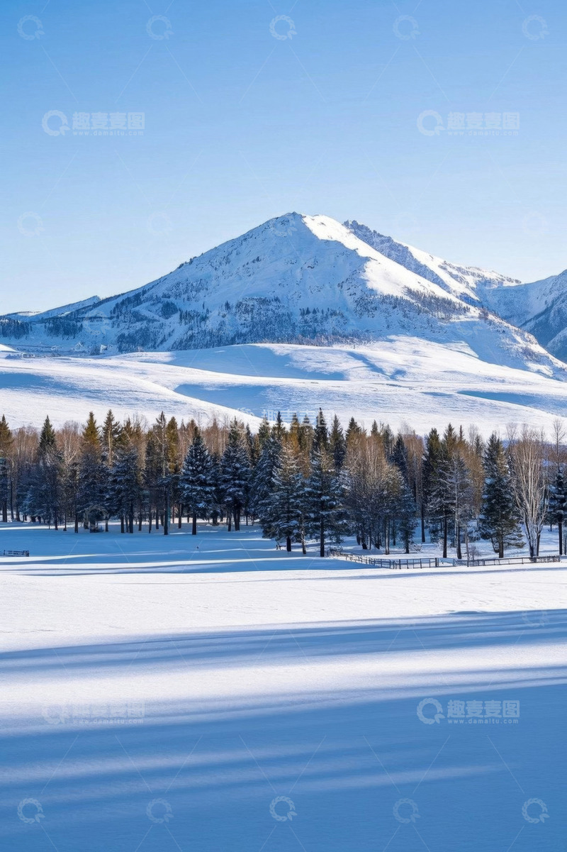 高清大图下载【趣麦麦图】雪山下的森林雪景风光