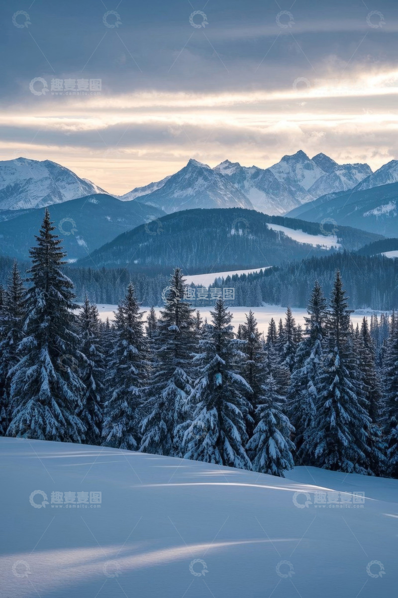 高清大图下载【趣麦麦图】雪山松林雪景风光