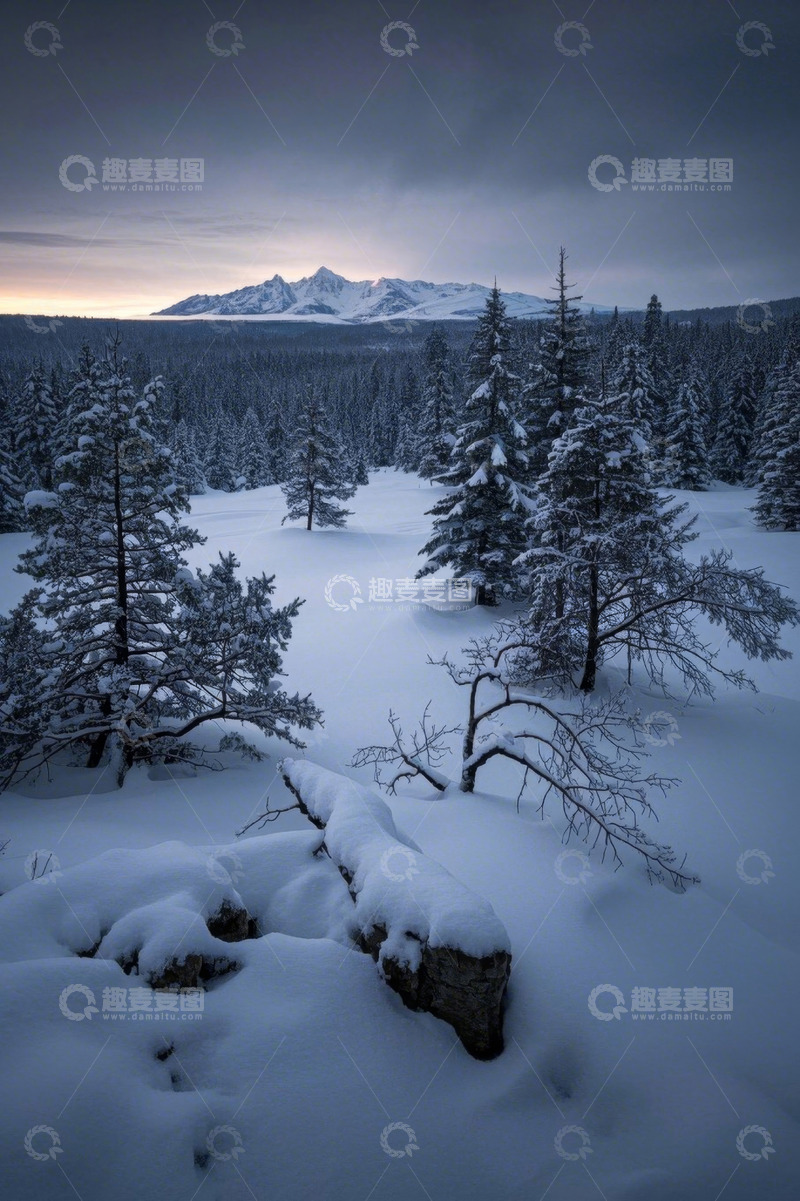 高清大图下载【趣麦麦图】雪后森林与远山景象