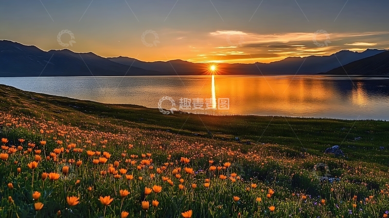 高清大图下载【趣麦麦图】湖畔夕阳花景自然风光摄影