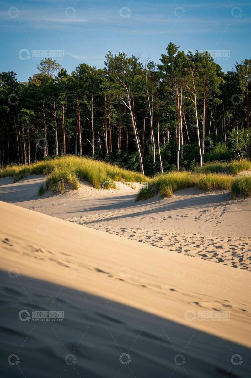 高清大图下载【趣麦麦图】沙丘与树林自然景观
