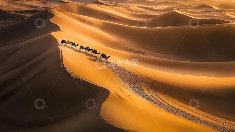 高清大图下载【趣麦麦图】沙漠驼队光影画卷