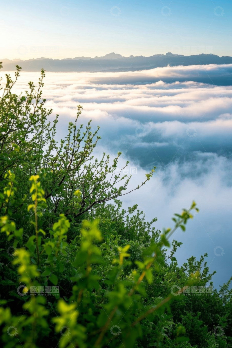高清大图下载【趣麦麦图】山间云海与绿植景观