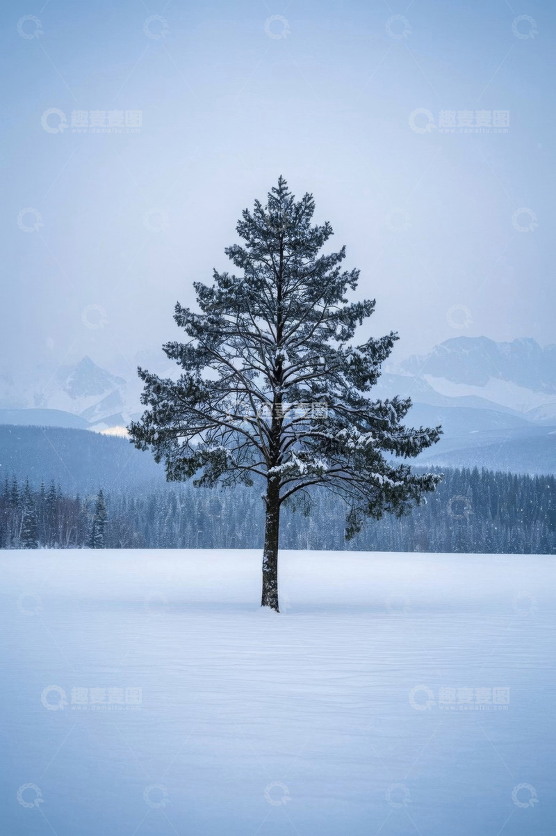 高清大图下载【趣麦麦图】雪地中孤立的松树与远山景观