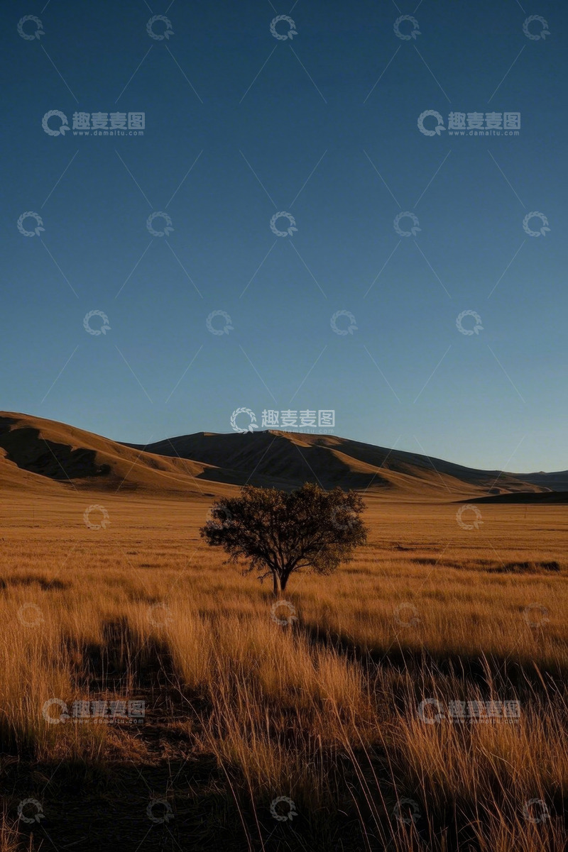高清大图下载【趣麦麦图】旷野中孤独的树木景观