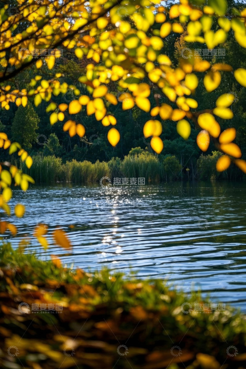 高清大图下载【趣麦麦图】湖边秋日树林自然风光