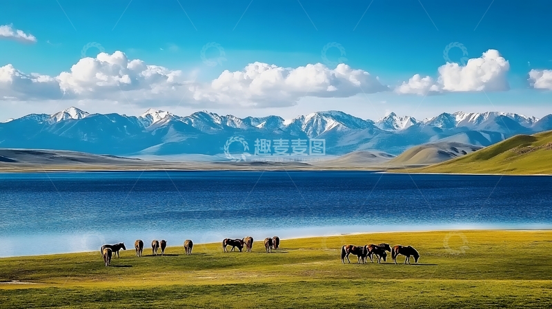 高清大图下载【趣麦麦图】湖畔草原马群风光