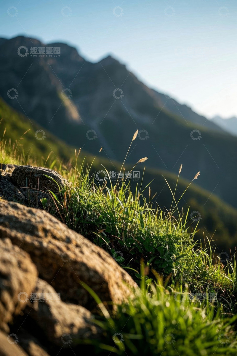 高清大图下载【趣麦麦图】近景山野草地与岩石景观