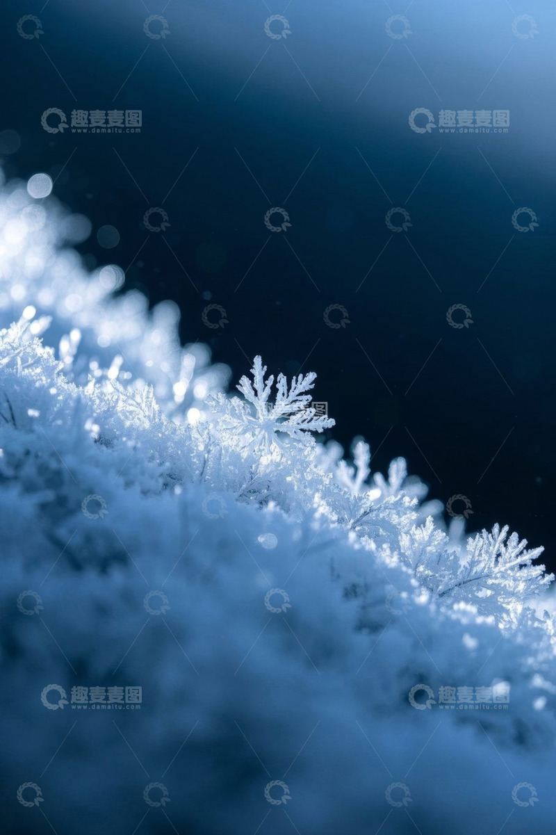 高清大图下载【趣麦麦图】微距雪花特写