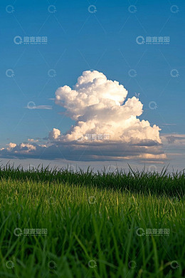 草地之上的蓝天白云景象