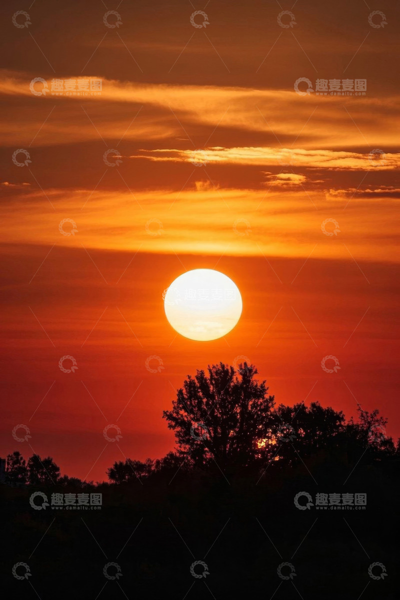 高清大图下载【趣麦麦图】日落时分的天空与树木景观