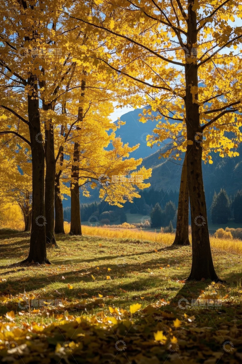 高清大图下载【趣麦麦图】秋日树林自然风光