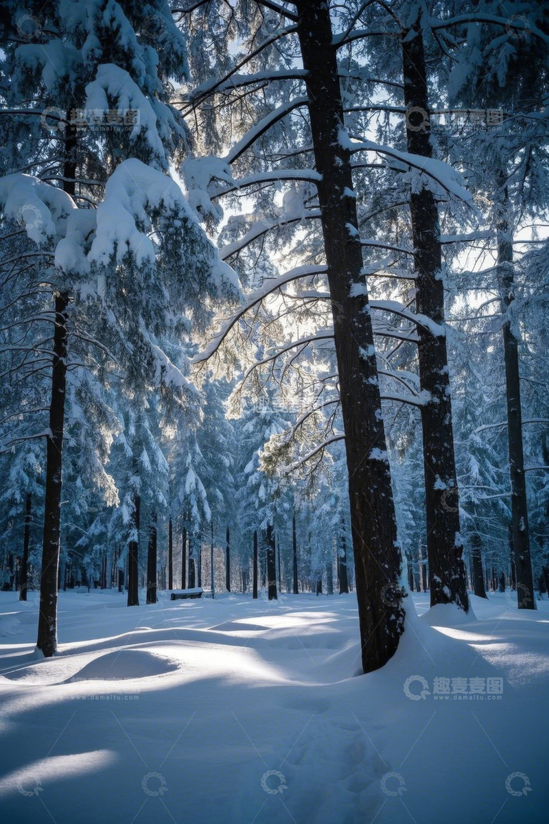 高清大图下载【趣麦麦图】冬日雪覆森林景观