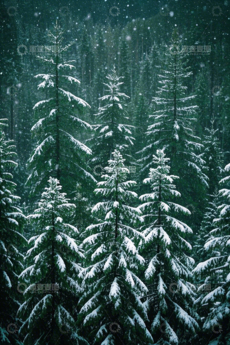高清大图下载【趣麦麦图】雪覆森林自然景观