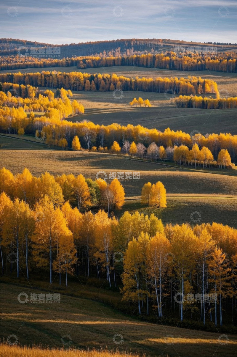 高清大图下载【趣麦麦图】秋季金黄树林草原风景