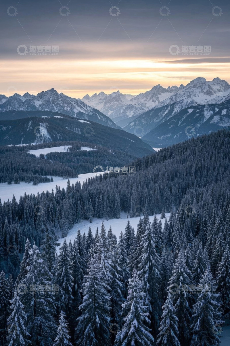 高清大图下载【趣麦麦图】雪山下的森林冬日景观
